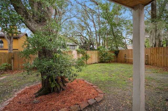 1105 Mill Run Cir, Apopka, FL 32703 - view of yard