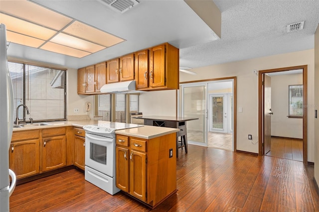 1105 Mill Run Cir, Apopka, FL 32703 - kitchen featuring white electric range, a peninsula, under cabinet range hood, a sink, and dark wood-style flooring