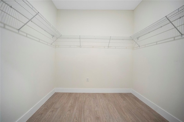 walk in closet featuring wood finished floors