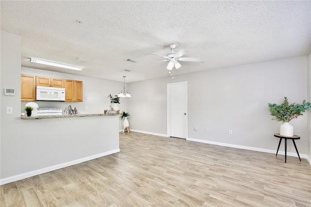 956 Salt Pond Pl Unit 207, Altamonte Springs, FL 32714 - unfurnished living room featuring a ceiling fan, light wood-style floors, a textured ceiling, baseboards, and a sink