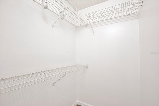 956 Salt Pond Pl Unit 207, Altamonte Springs, FL 32714 - view of walk in closet