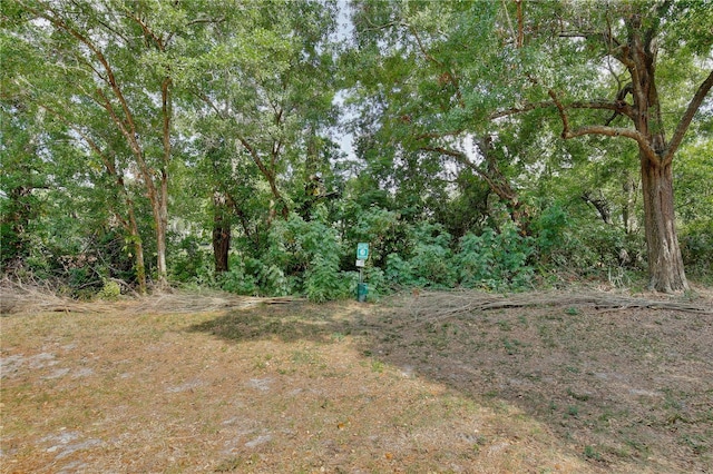 956 Salt Pond Pl Unit 207, Altamonte Springs, FL 32714 - view of undeveloped land