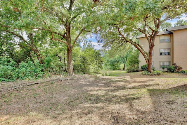 956 Salt Pond Pl Unit 207, Altamonte Springs, FL 32714 - view of yard