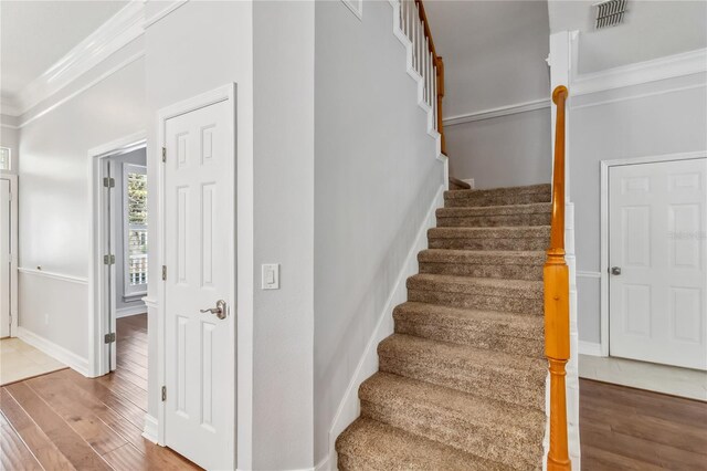 1013 Maiden Ter, Celebration, FL 34747 - photo 28