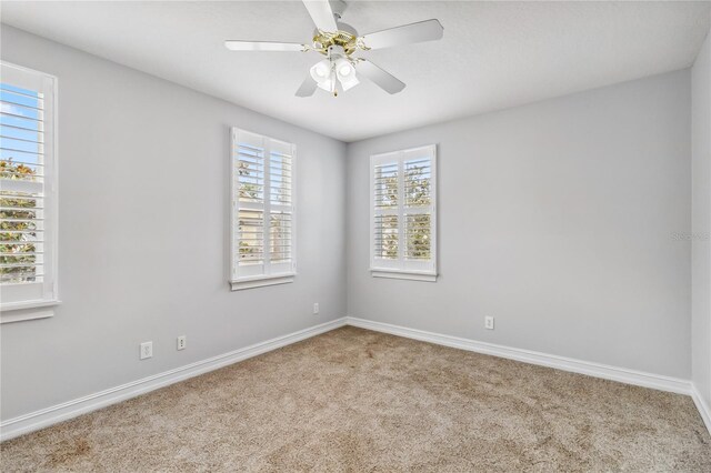 1013 Maiden Ter, Celebration, FL 34747 - photo 31