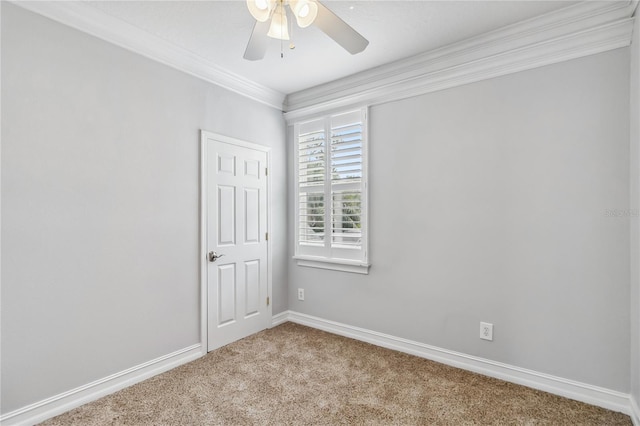 1013 Maiden Ter, Celebration, FL 34747 - photo 40