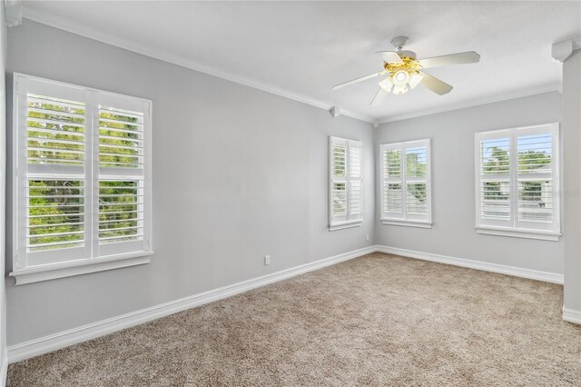 1013 Maiden Ter, Celebration, FL 34747 - photo 42