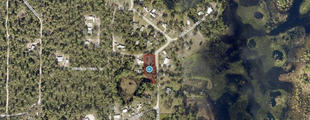 Morning View Dr, Paisley, FL 32767 - photo 3