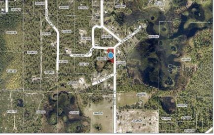 Morning View Dr, Paisley, FL 32767 - photo 4