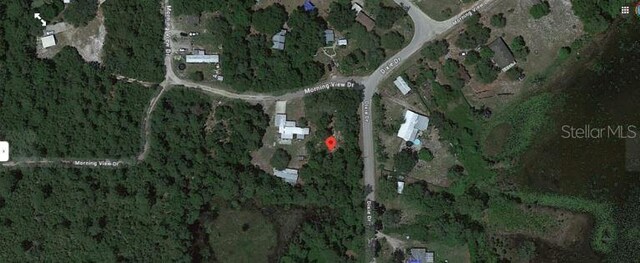 Morning View Dr, Paisley, FL 32767 - photo 5