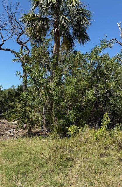 Sea Breeze Dr, Tarpon Springs, FL 34689