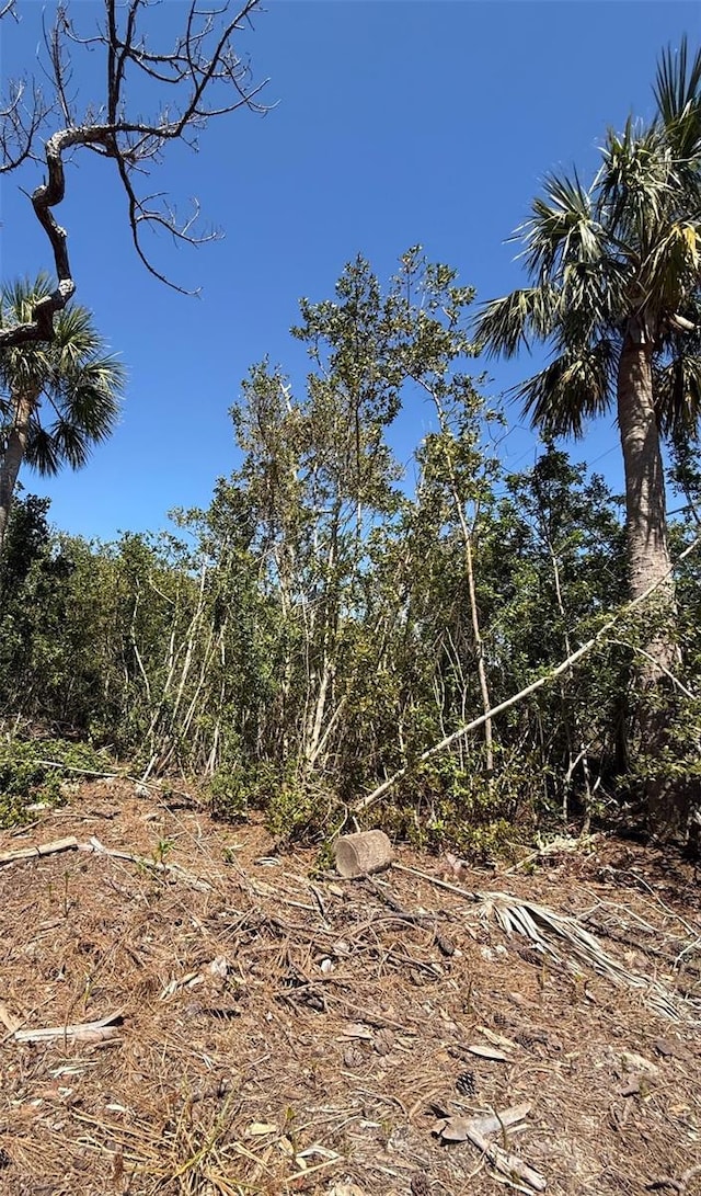 Sea Breeze Dr, Tarpon Springs, FL 34689