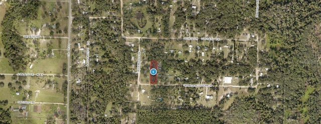Orange Blossom Ln, Eustis, FL 32736 - photo 3