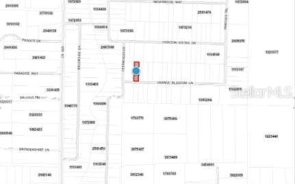 Orange Blossom Ln, Eustis, FL 32736 - photo 5