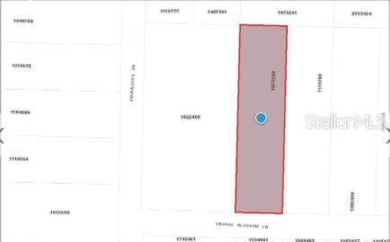 Orange Blossom Ln, Eustis, FL 32736 - photo 6