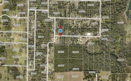 Orange Blossom Ln, Eustis, FL 32736 - photo 7