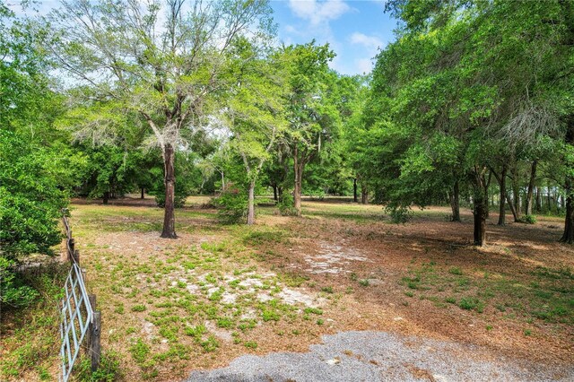 Integrity Way, Sorrento, FL 32776 - photo 9