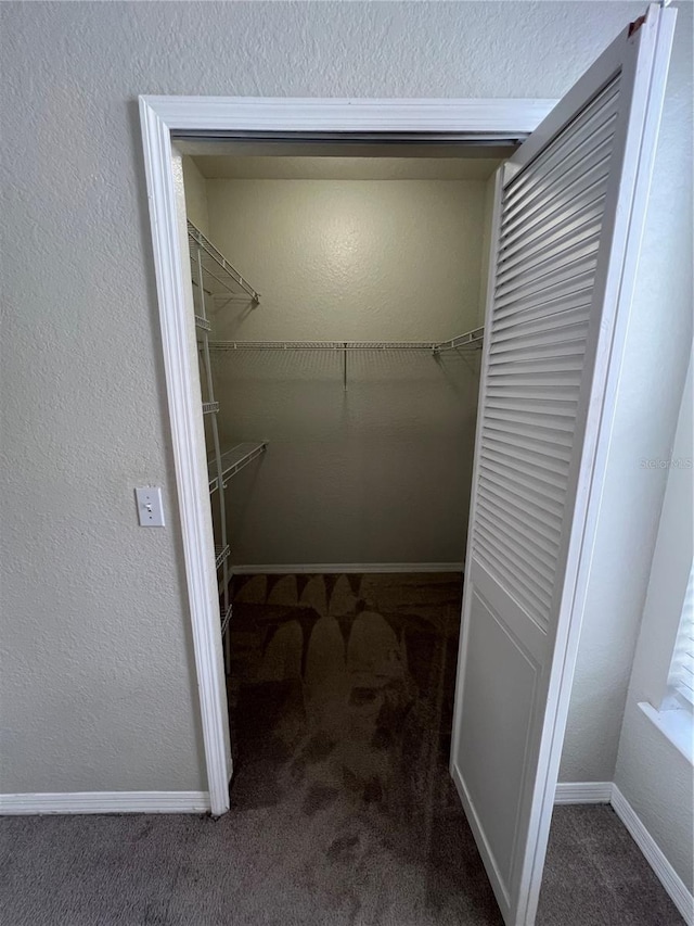 spacious closet with carpet floors