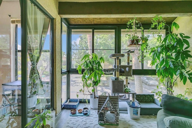 3106 S Semoran Blvd Unit P-2, Orlando, FL 32822 - sunroom / solarium featuring wood finished floors