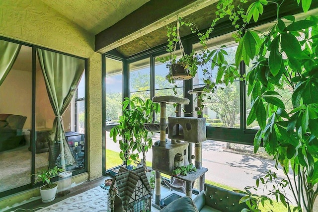 3106 S Semoran Blvd Unit P-2, Orlando, FL 32822 - view of sunroom