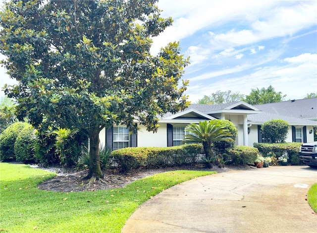 1644 Hibiscus Ave, Winter Park, FL 32789 - view of front of house with concrete driveway, a front lawn, and stucco siding