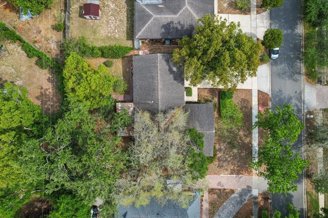 bird's eye view