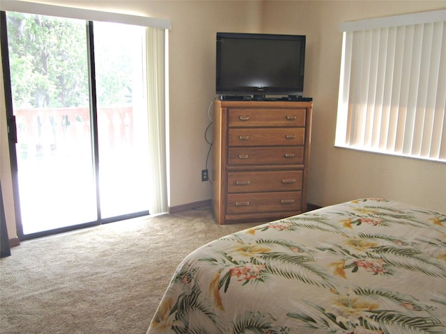 2073 Oak Meadow Cir S, Daytona, FL 32119 - bedroom featuring light carpet, access to exterior, and multiple windows