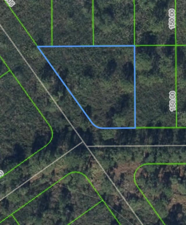 1316 Lark St, Lake Placid, FL 33852 - photo 1