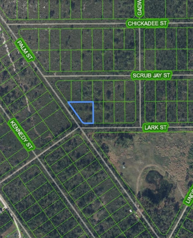 1316 Lark St, Lake Placid, FL 33852 - photo 2