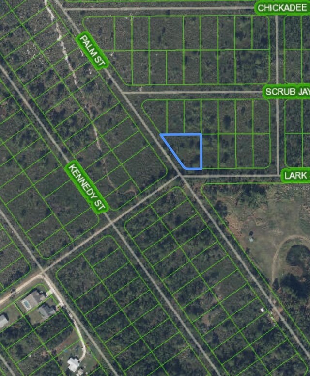 1316 Lark St, Lake Placid, FL 33852 - photo 3
