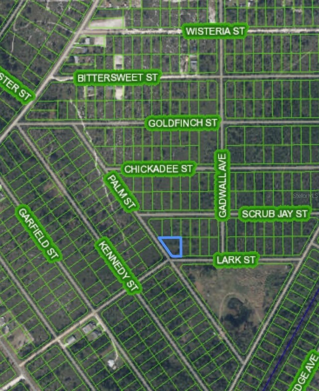 1316 Lark St, Lake Placid, FL 33852 - photo 4