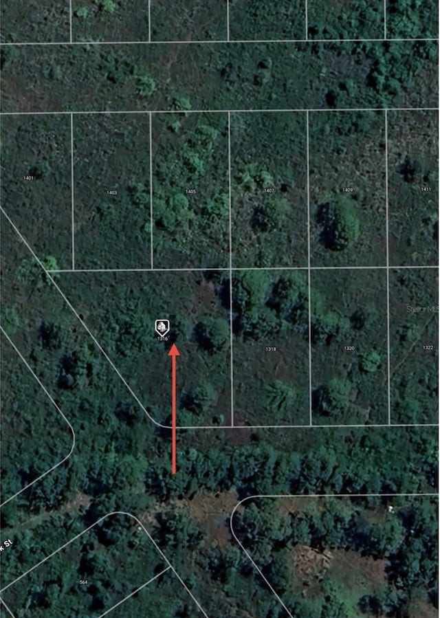 1316 Lark St, Lake Placid, FL 33852 - photo 5