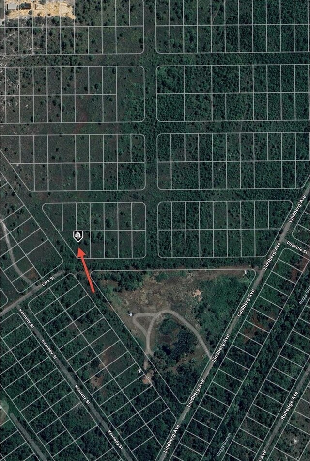 1316 Lark St, Lake Placid, FL 33852 - photo 6