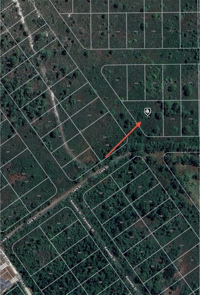 1316 Lark St, Lake Placid, FL 33852 - photo 7