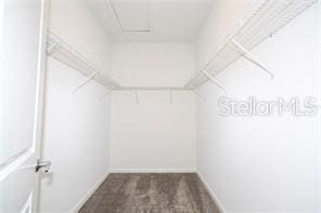 1163 James Paul Rd, Davenport, FL 33837 - view of spacious closet