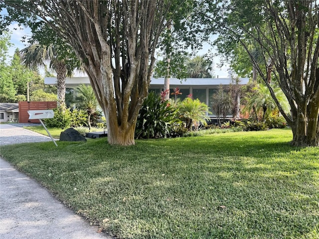 view of yard