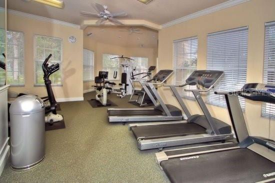 8110 Princess Palm Ln, Kissimmee, FL 34747 - photo 58