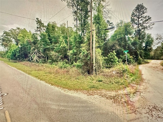 219 Kingston Blvd, Satsuma, FL 32189