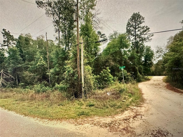 219 Kingston Blvd, Satsuma, FL 32189