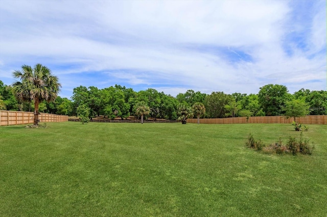 36408 E Eldorado Lake Dr, Eustis, FL 32736 - view of yard