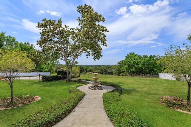 36408 E Eldorado Lake Dr, Eustis, FL 32736 - view of yard
