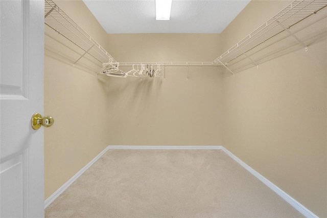 5056 Gandross Ln, Mount Dora, FL 32757 - photo 19
