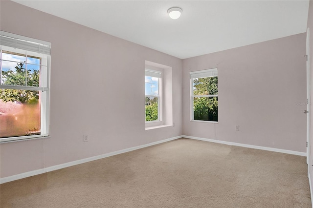 5056 Gandross Ln, Mount Dora, FL 32757 - photo 23