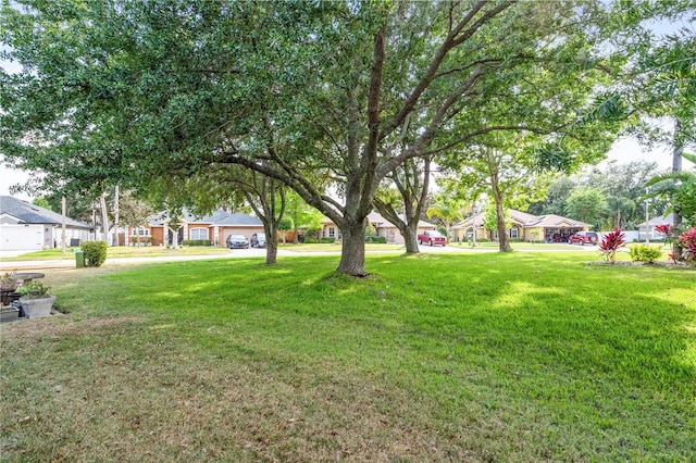 view of yard featuring a residential view