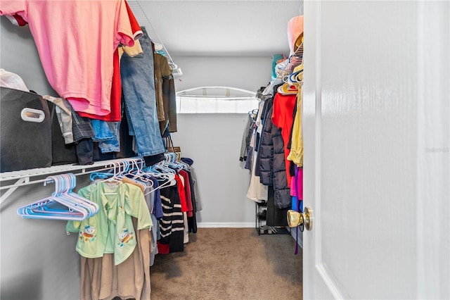 walk in closet with carpet flooring