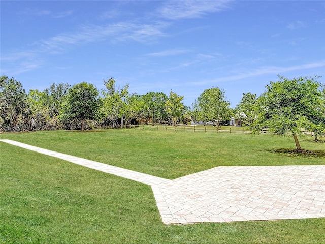 view of yard featuring a patio area