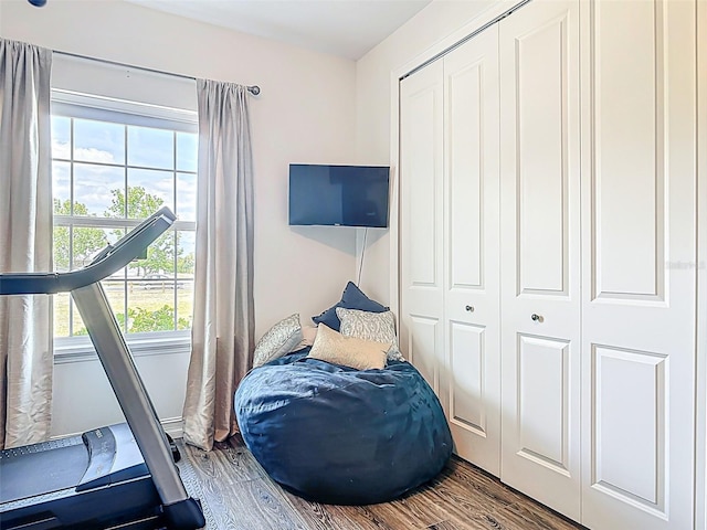 interior space with a closet, multiple windows, and wood finished floors