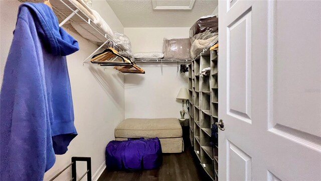 spacious closet with wood finished floors