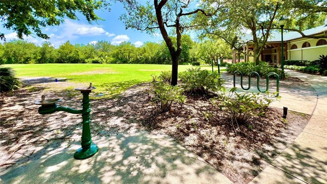 surrounding community featuring a yard