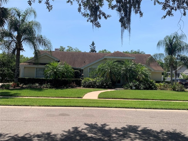 ranch-style house featuring stucco siding and a front yard